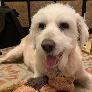 Meet your Posher, Brian